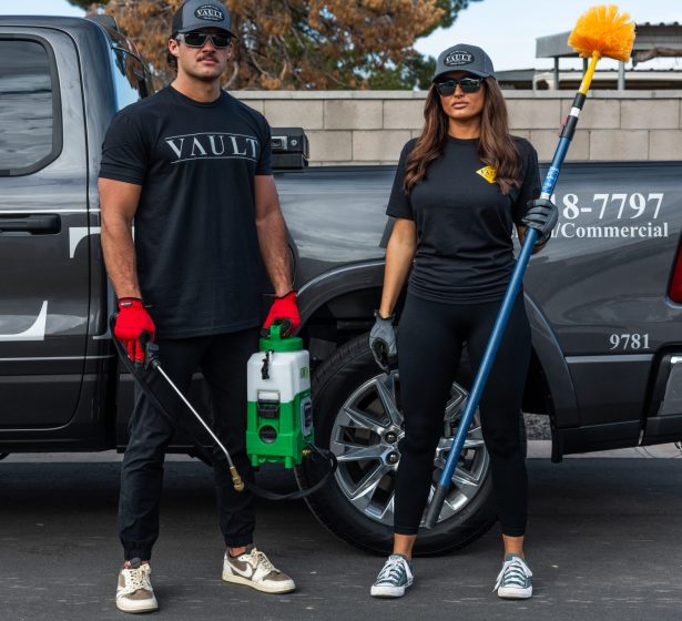 Vault Pest Control and Termite – photo