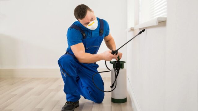 Hopper Pest Control, L.L.C. – photo