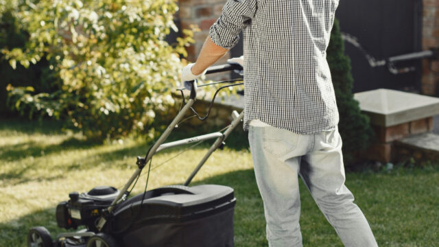 AC Macias Landscaping LLC – photo