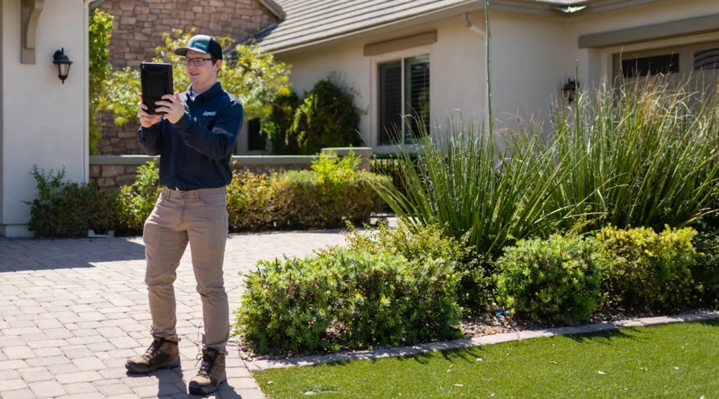 All Clear Pest Control – photo