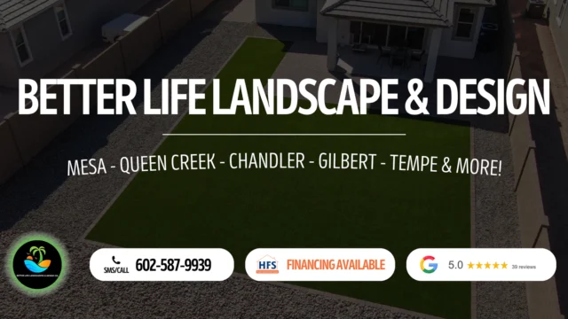 Better Life Landscape and Design – photo