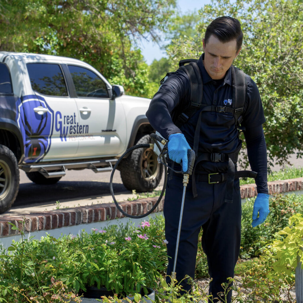 Great Western Pest Control – photo