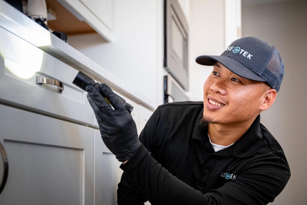 Insectek Pest Solutions – photo