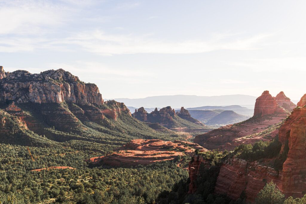 Critter Control of Northern Arizona – Flagstaff – photo