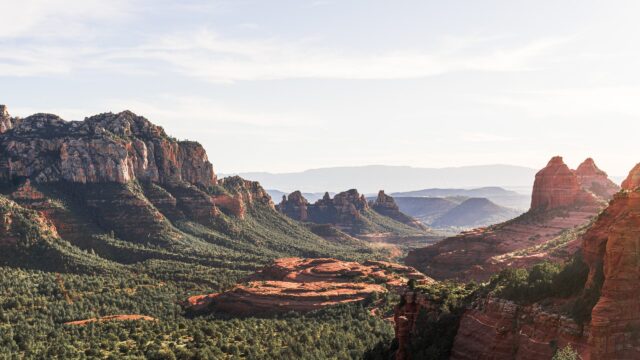 Critter Control of Northern Arizona – Flagstaff – photo