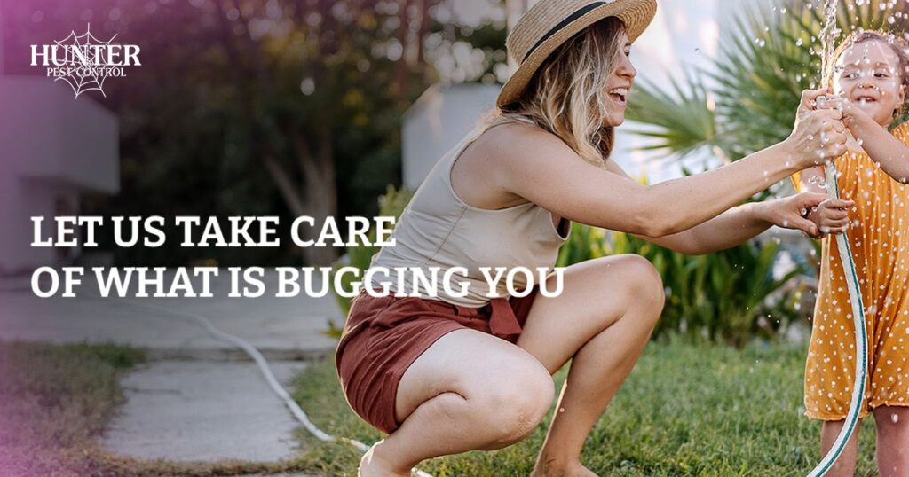 Hunter Pest Control – photo