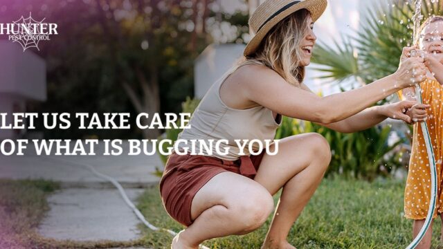 Hunter Pest Control – photo