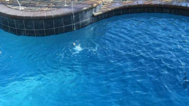 Four Seasons Pool Service – photo