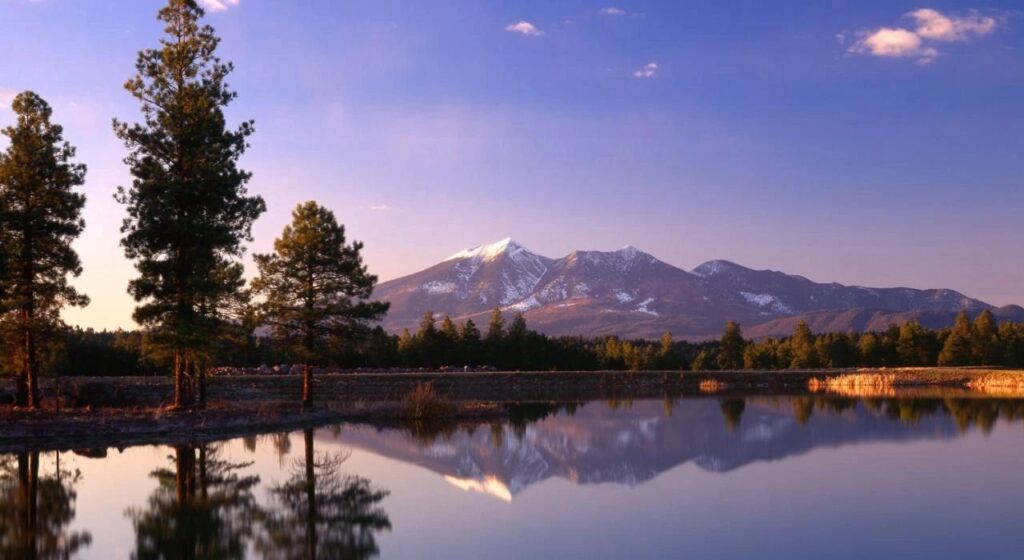 Peak Property Maintenance and Hauling – photo