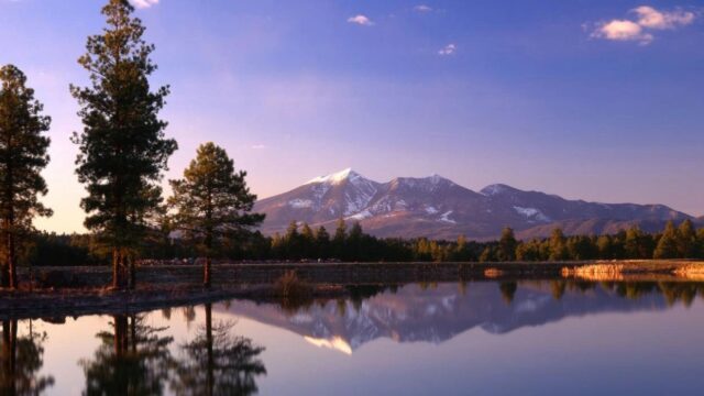 Peak Property Maintenance and Hauling – photo