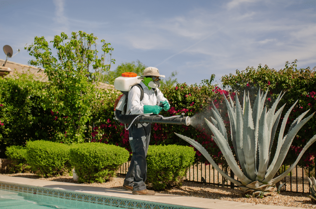Affordable Pest Control – photo
