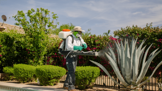 Affordable Pest Control – photo