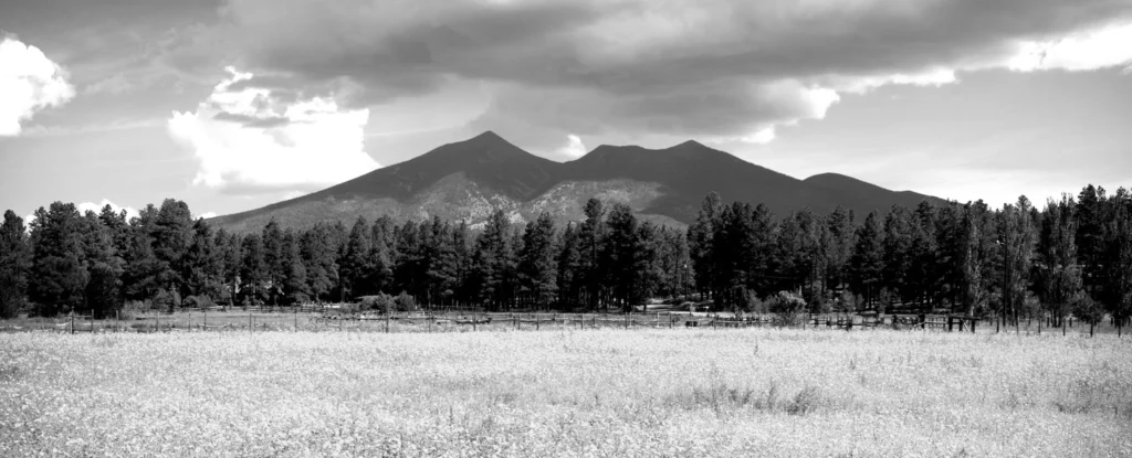 Northern Peaks Maintenance, LLC – photo