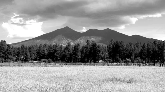 Northern Peaks Maintenance, LLC – photo