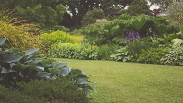 landscaping stock image
