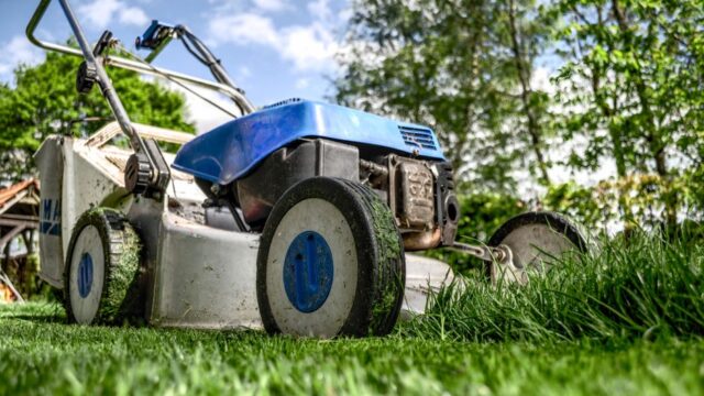 landscaping stock image