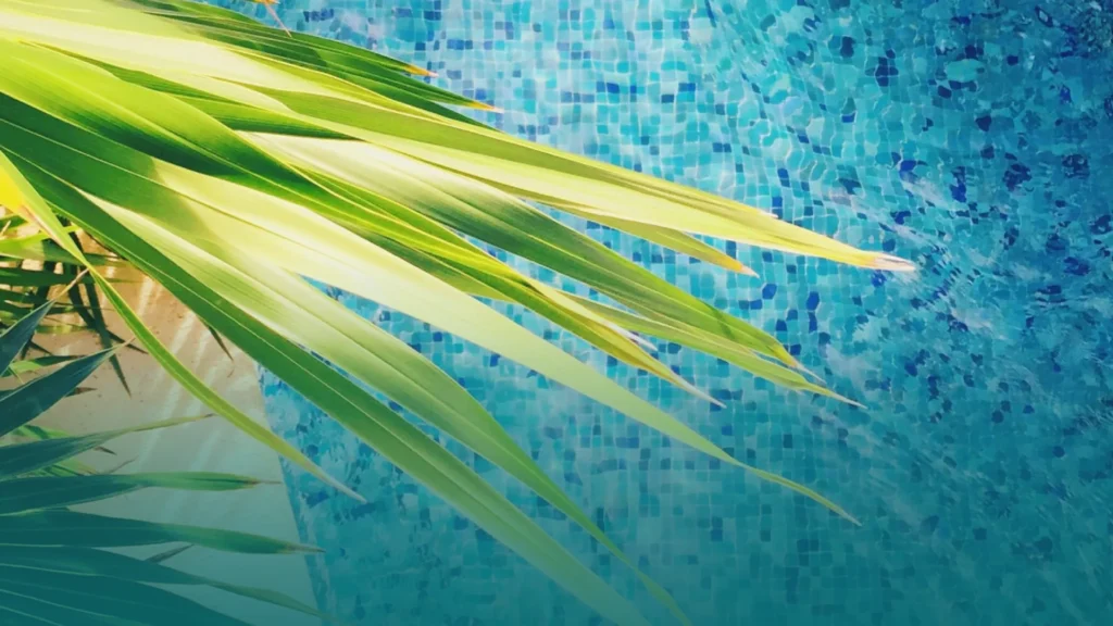 Glass Pool Co. – photo