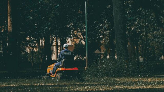 landscaping stock image