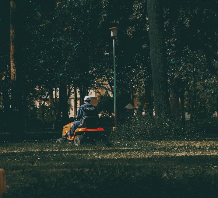 landscaping stock image