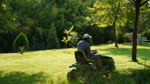 landscaping stock image