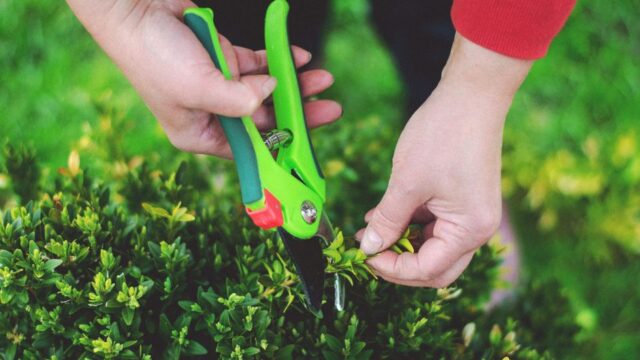 landscaping stock image