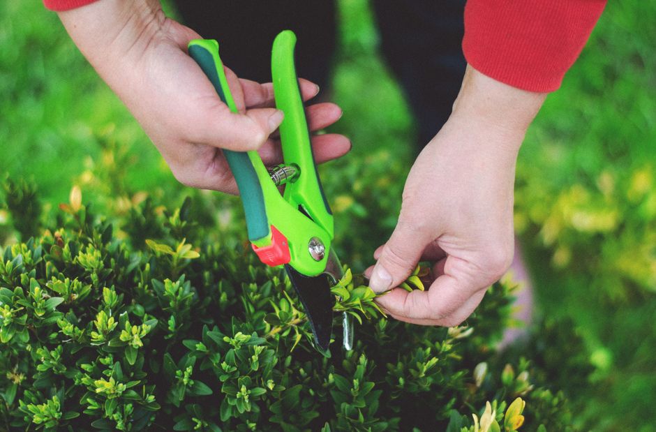 landscaping stock image