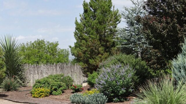 landscaping stock image