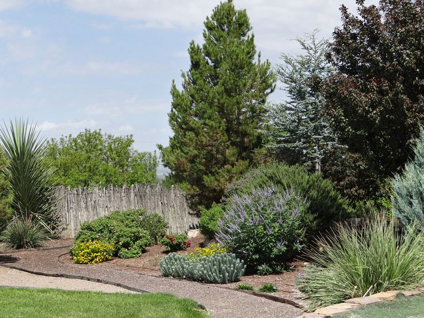 landscaping stock image