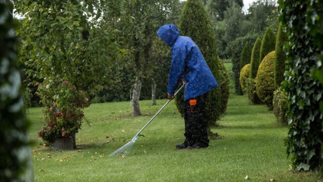 landscaping stock image