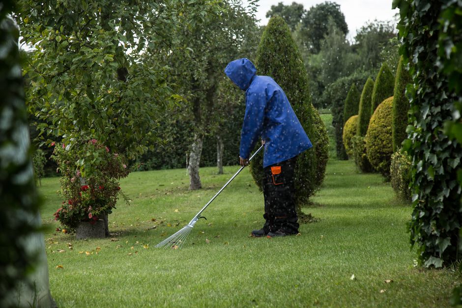 landscaping stock image