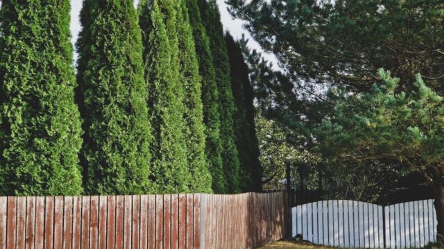 fencing stock image