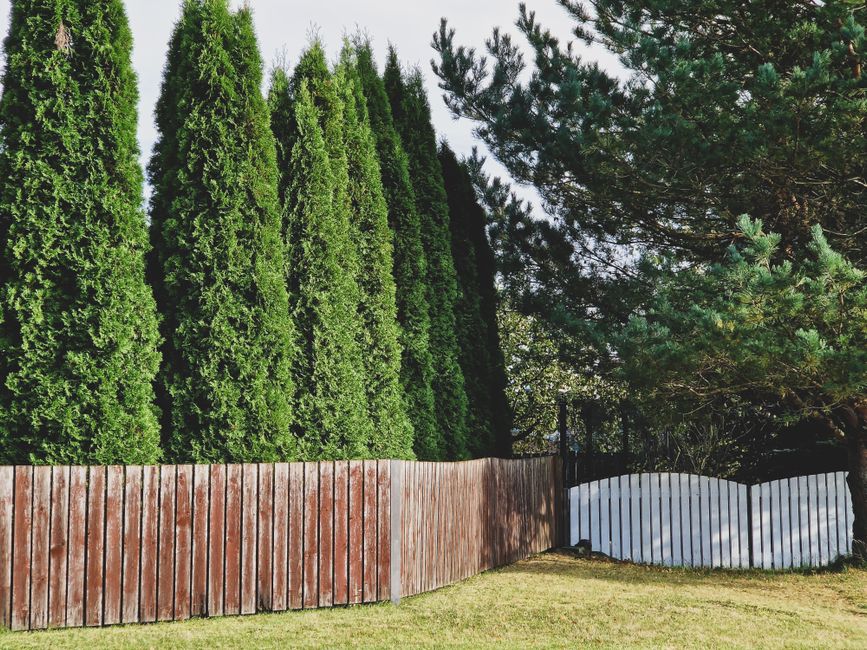 fencing stock image
