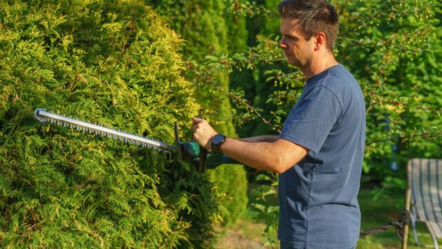 landscaping stock image