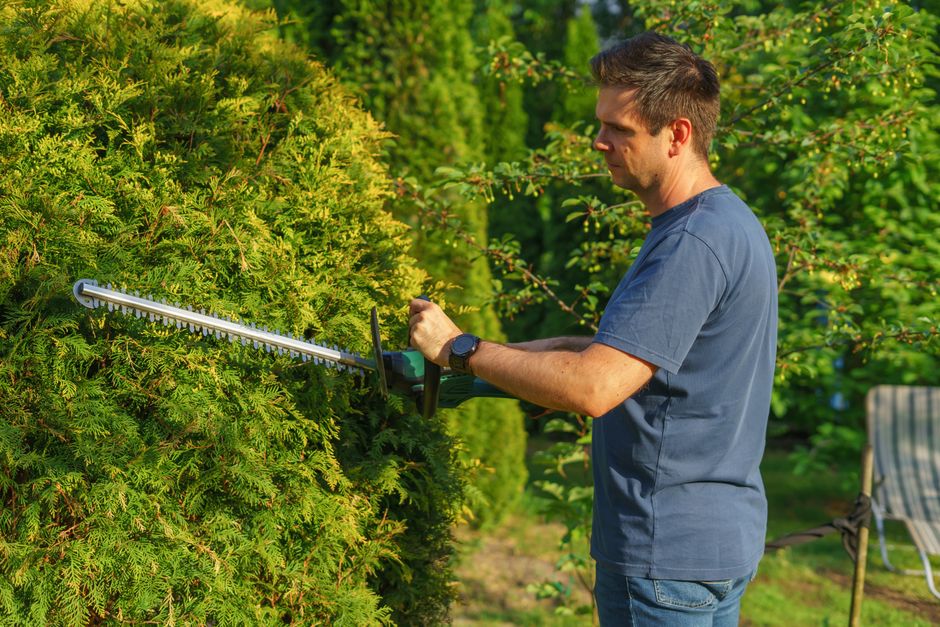 landscaping stock image
