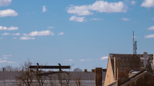 roofing stock image