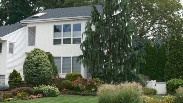 landscaping stock image