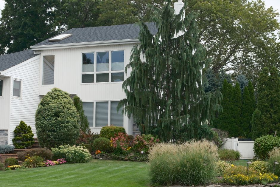 landscaping stock image