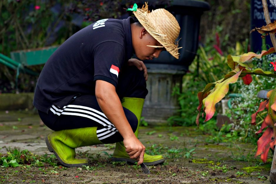 landscaping stock image