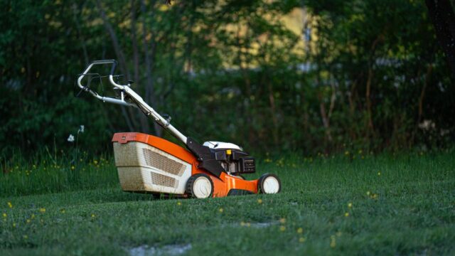 landscaping stock image