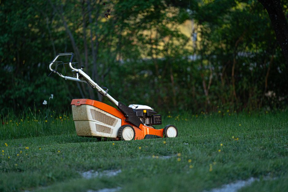 landscaping stock image