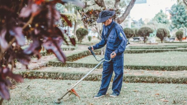 landscaping stock image