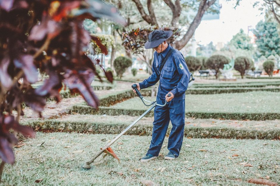 landscaping stock image