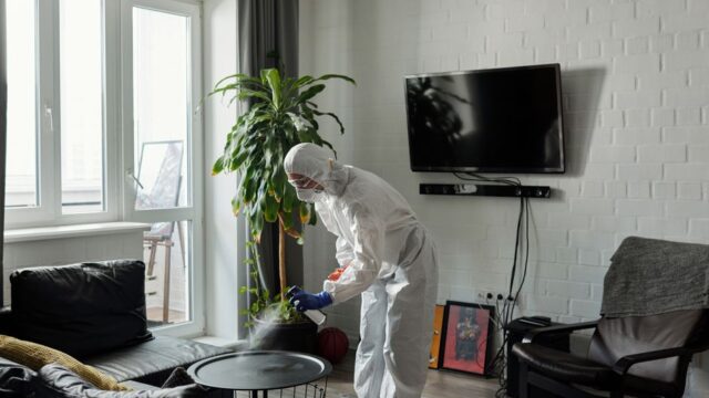 house-cleaning stock image