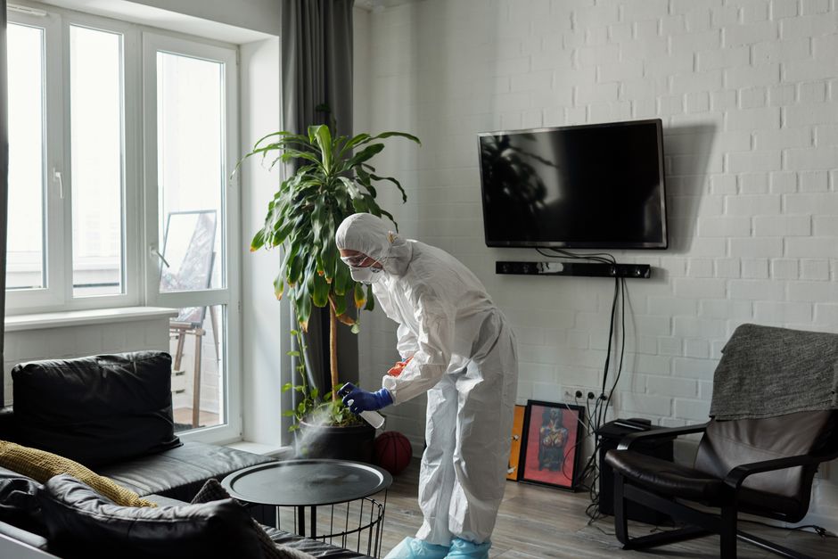 house-cleaning stock image