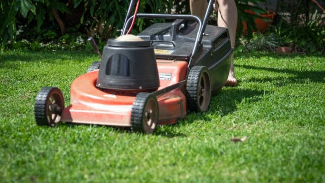 landscaping stock image