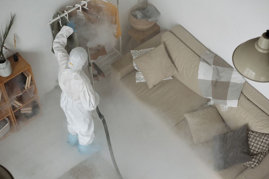 pest-control stock image