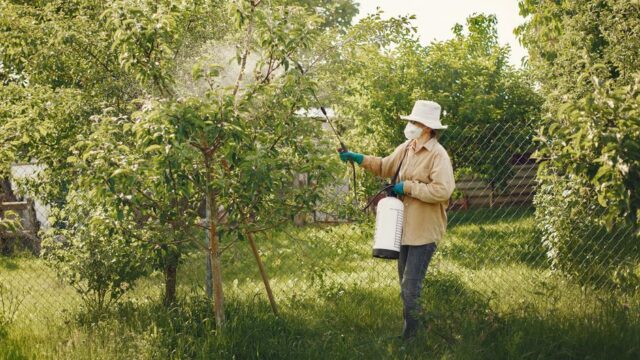 pest-control stock image