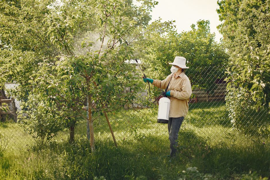 pest-control stock image