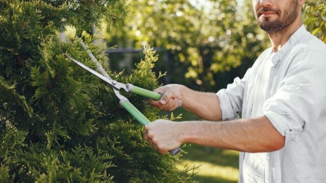 landscaping stock image