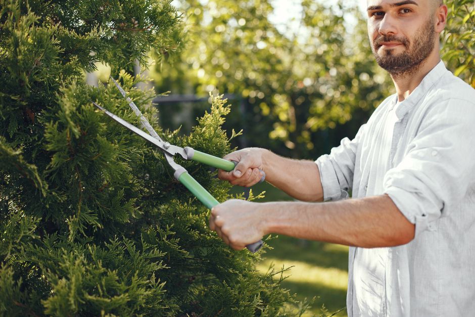 landscaping stock image